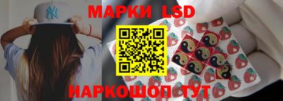 дмт Гусев