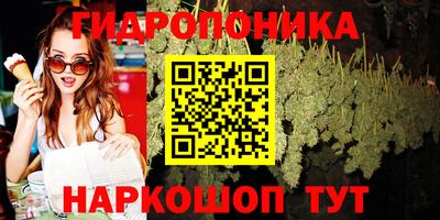 сатива Гусиноозёрск