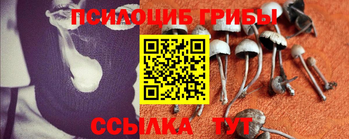 Псилоцибиновые грибы ЛСД  Вход с VPN  Можга 