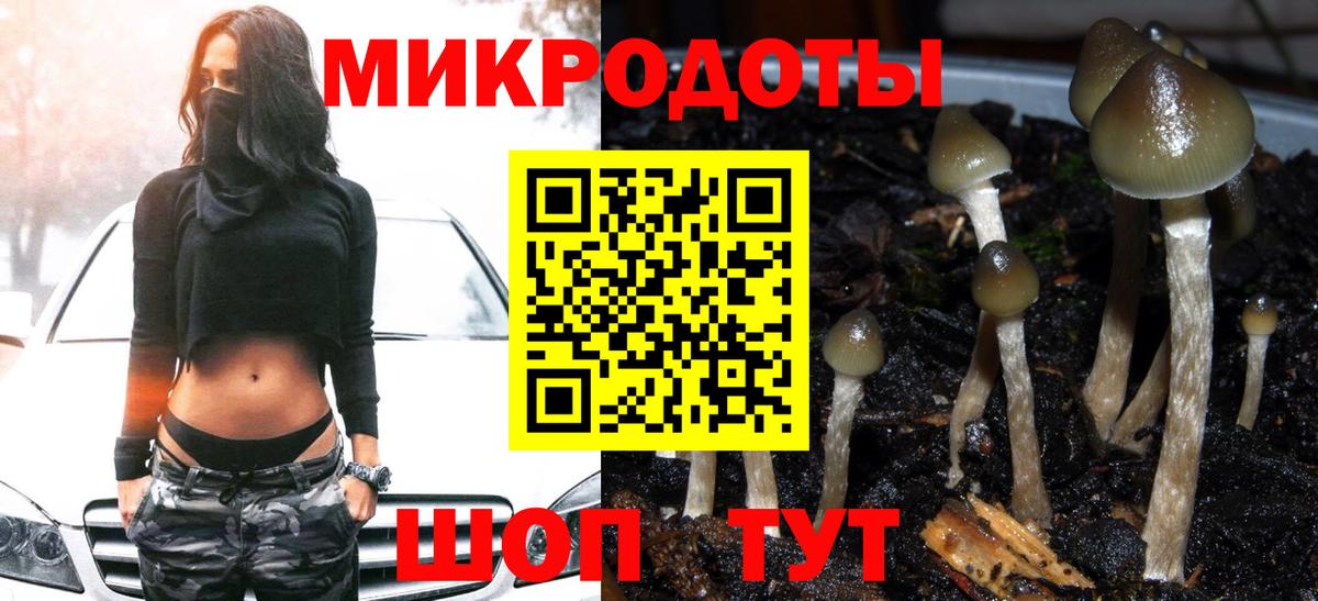 Псилоцибиновые грибы мицелий Можга